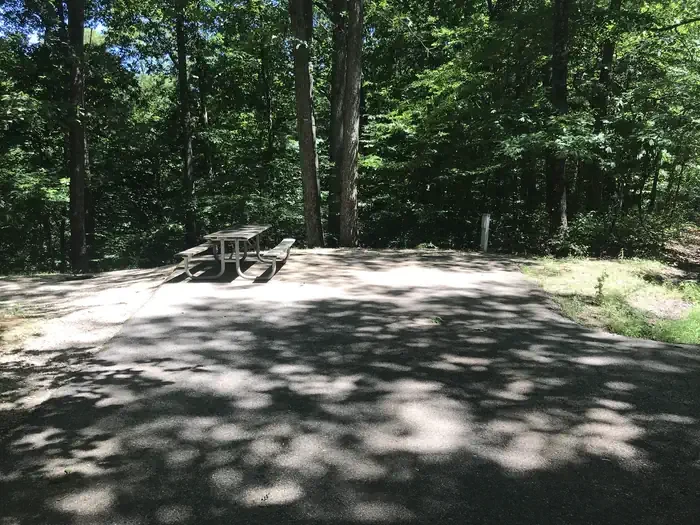 164