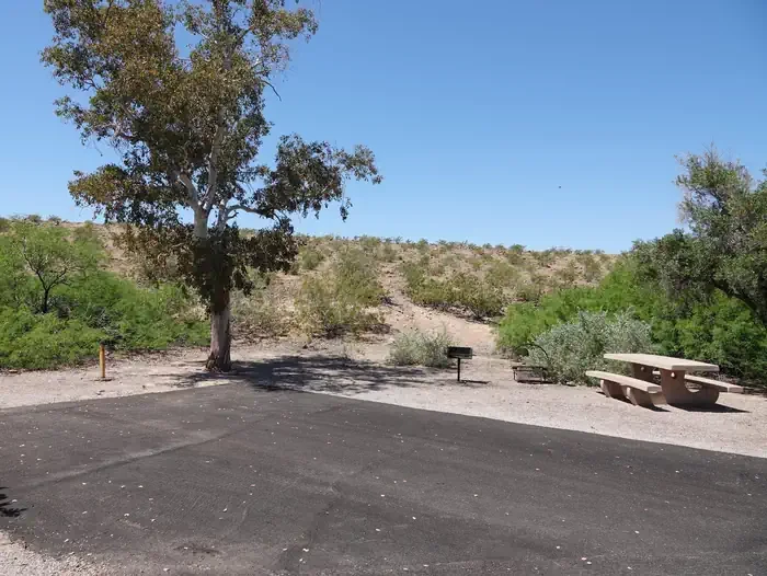 Site 82