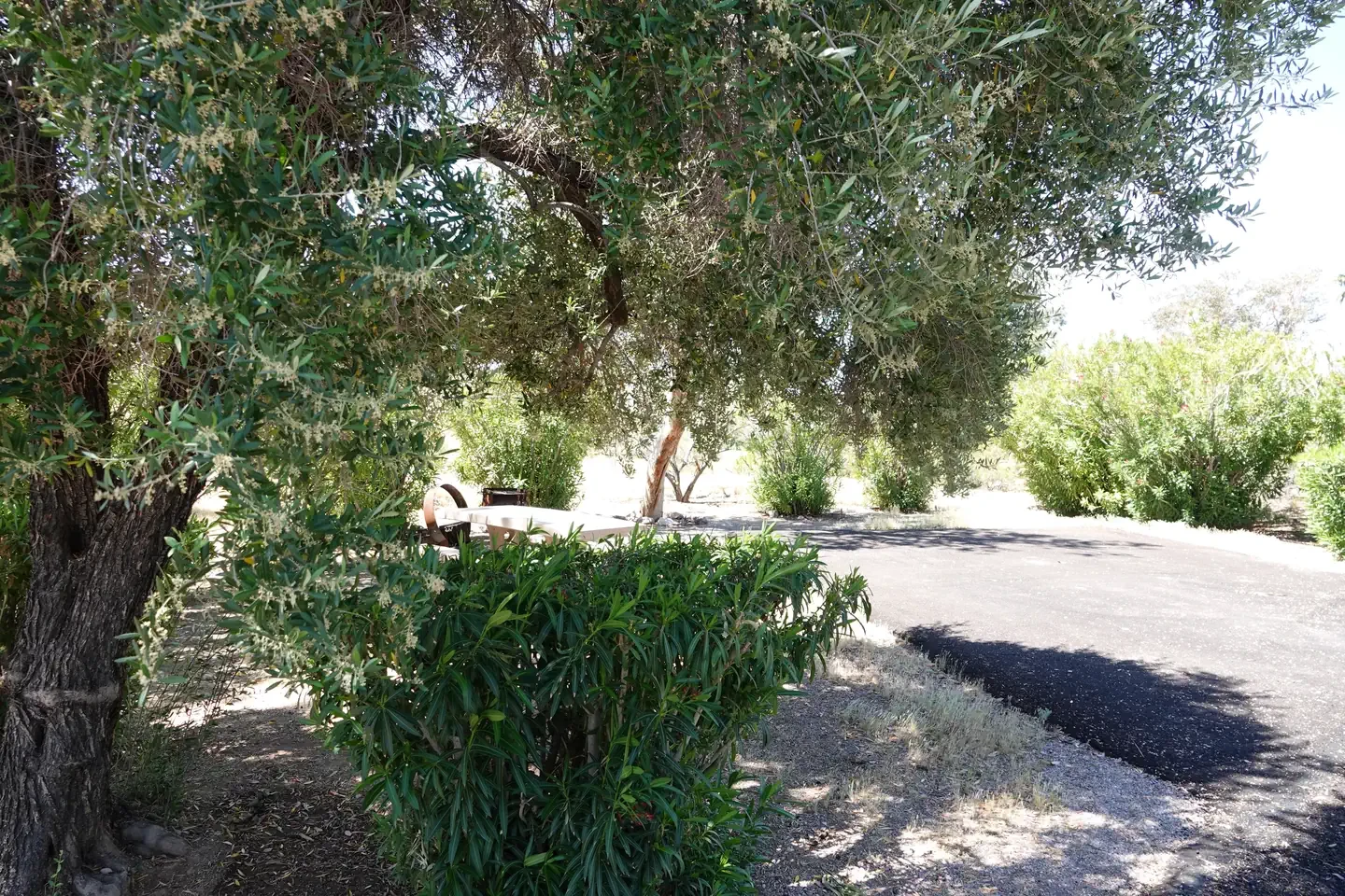 Site 15