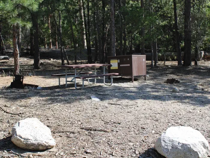Site:  11