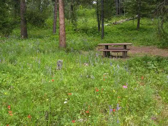 Beaver Creek Campground