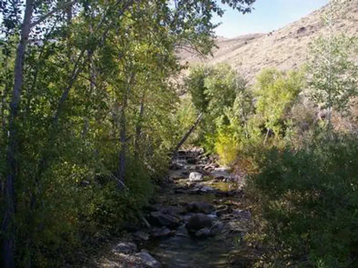 Powerhouse Group Picnic Area