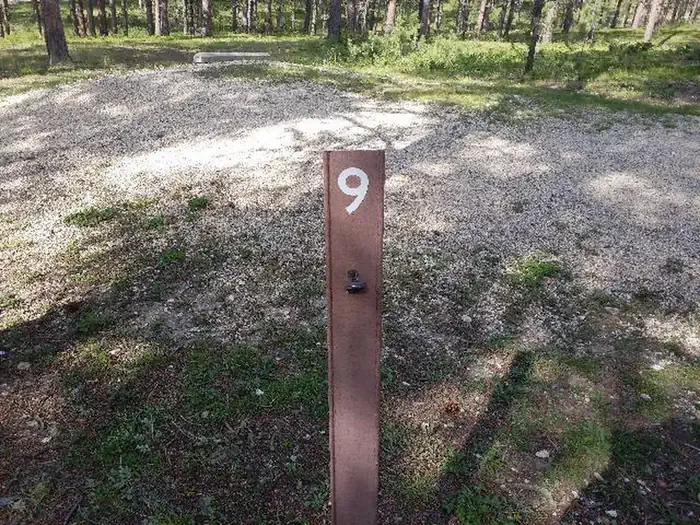 009