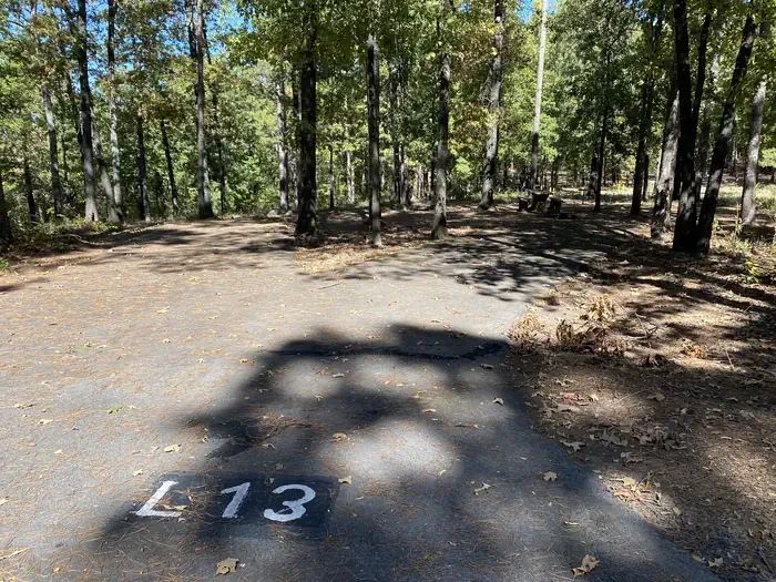 L13