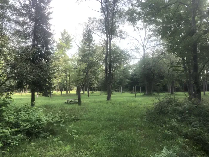 South Branch Trail Camp Group Site