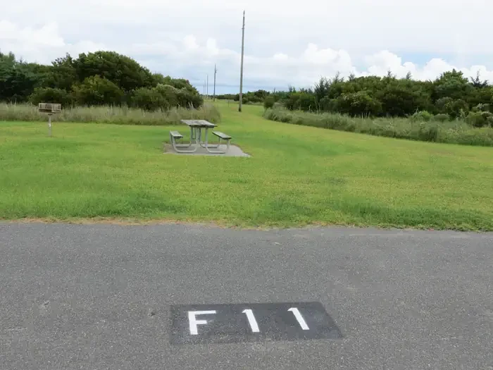 F011
