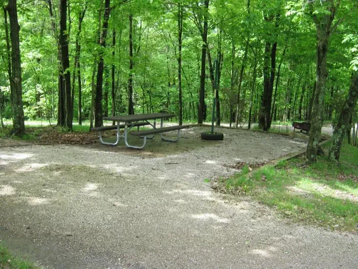 Coon Creek (il)