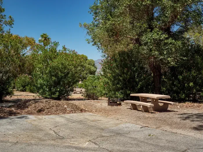 Site 24