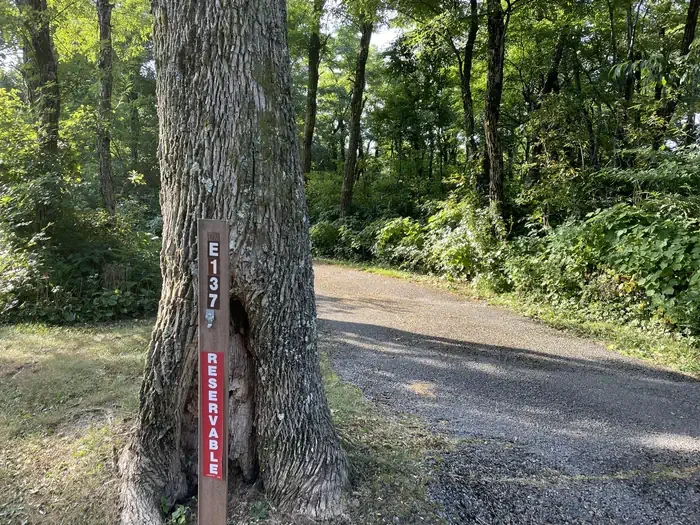 E137