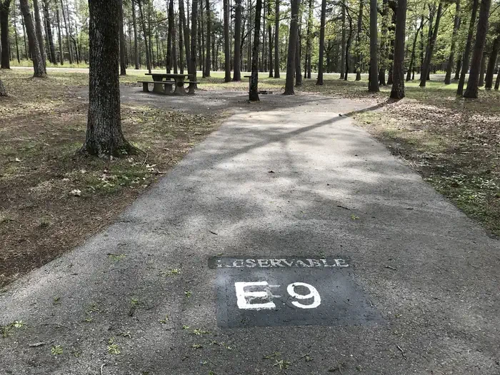 E09