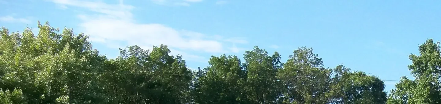 M01