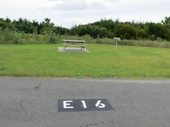 E016