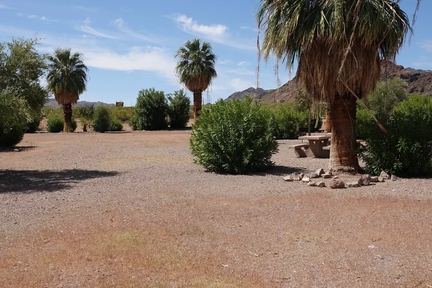 Groups Site 5