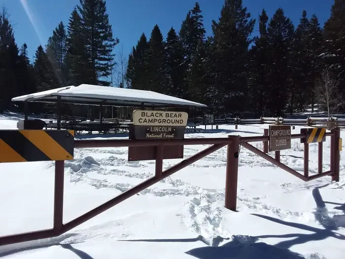 Black Bear Group Area
