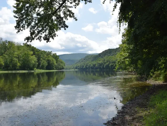 Fifteen Mile Creek Campsite