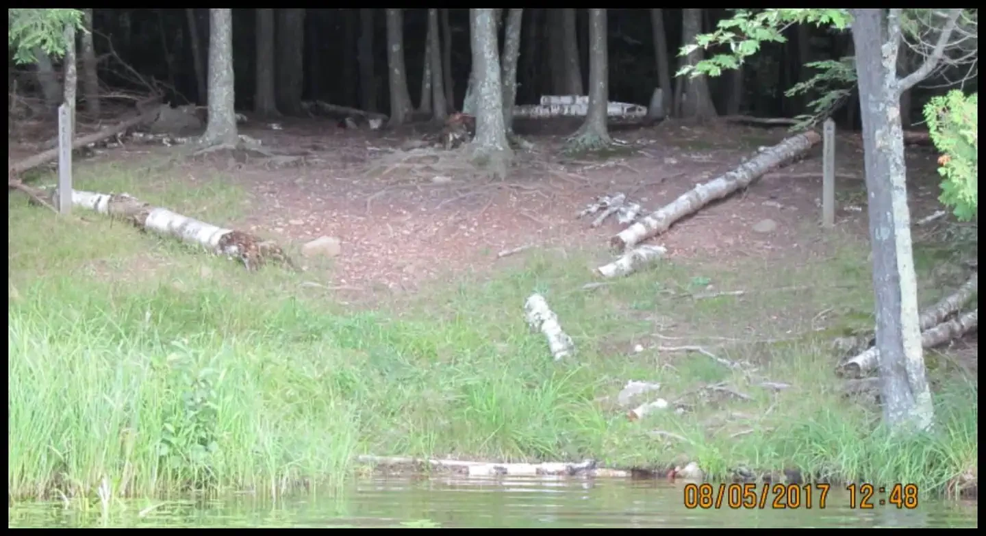 DEER-1