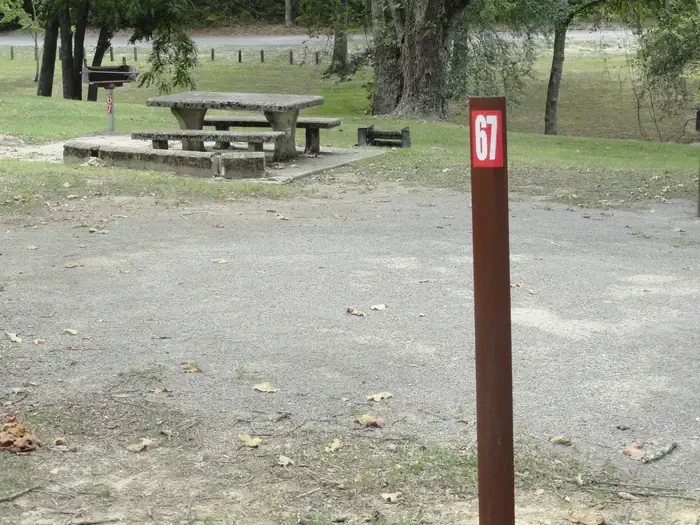 67