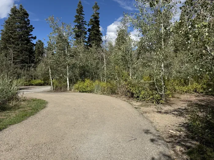 C25