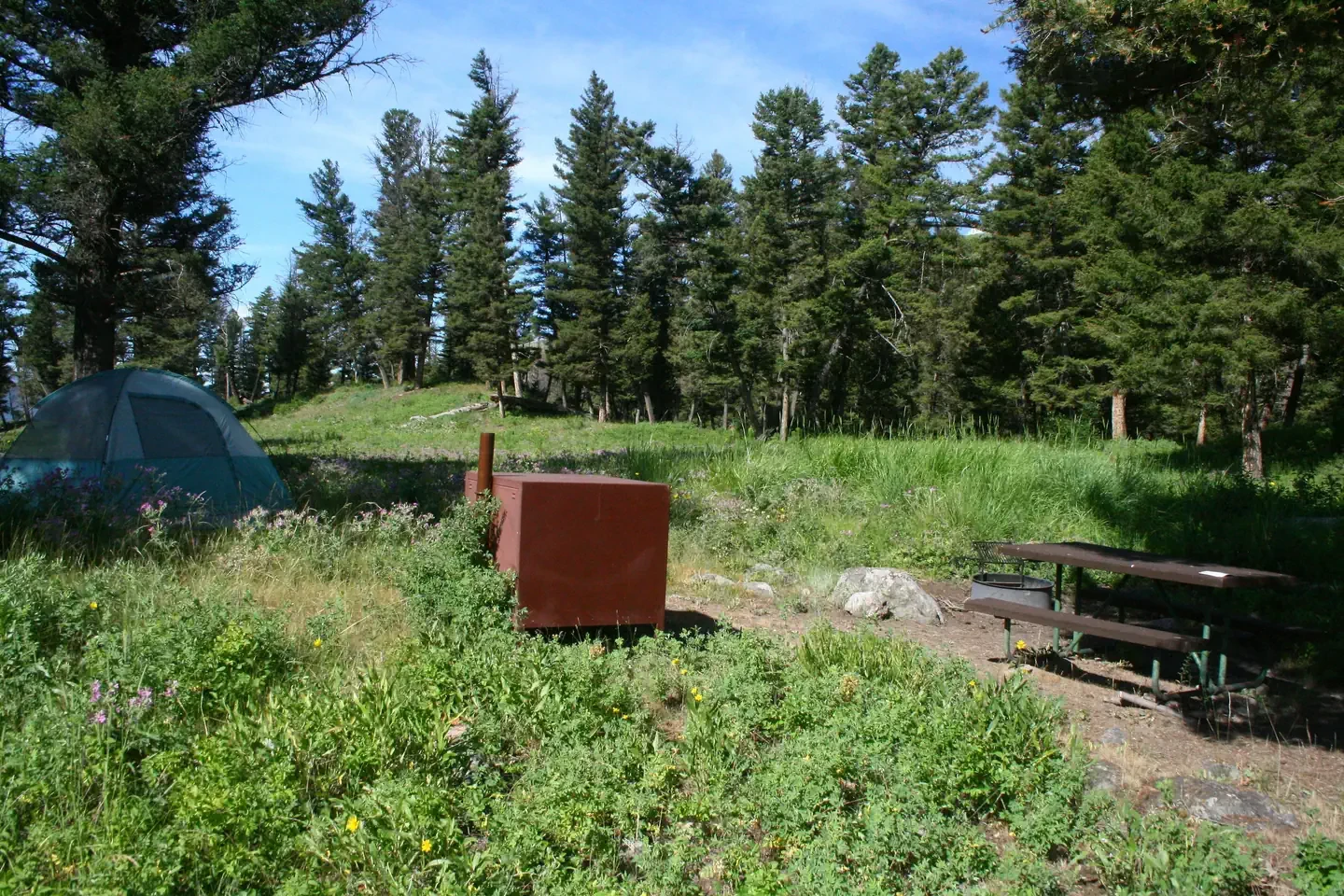Slough Creek site #14