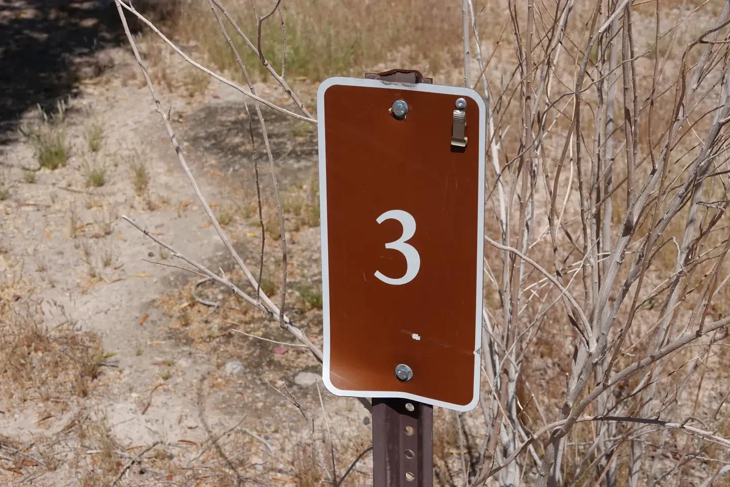 Site 3
