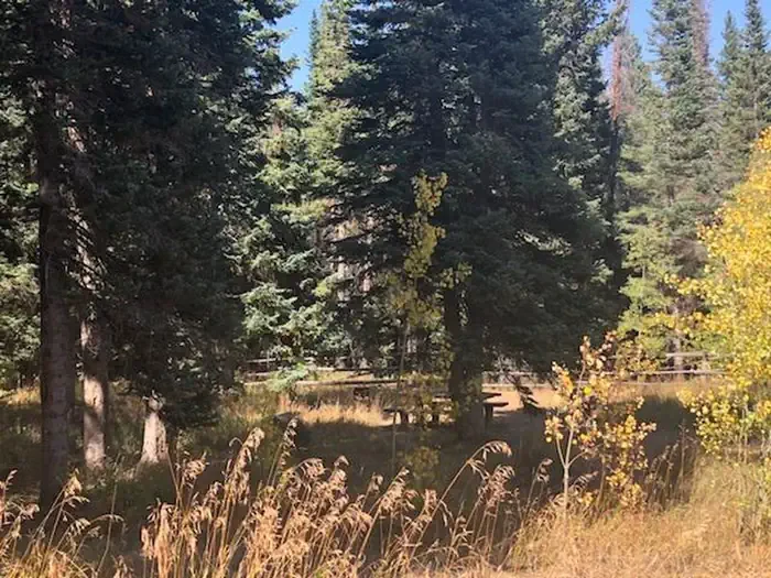 Tie City Campground (WY)