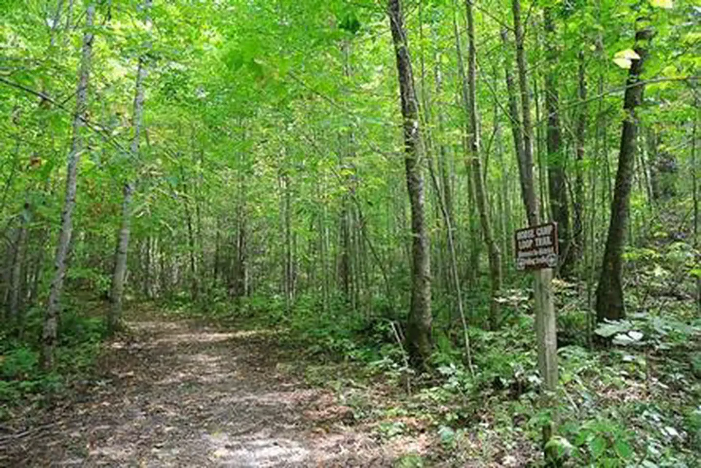 Harmon Den Campground