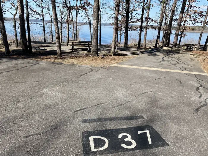 D37