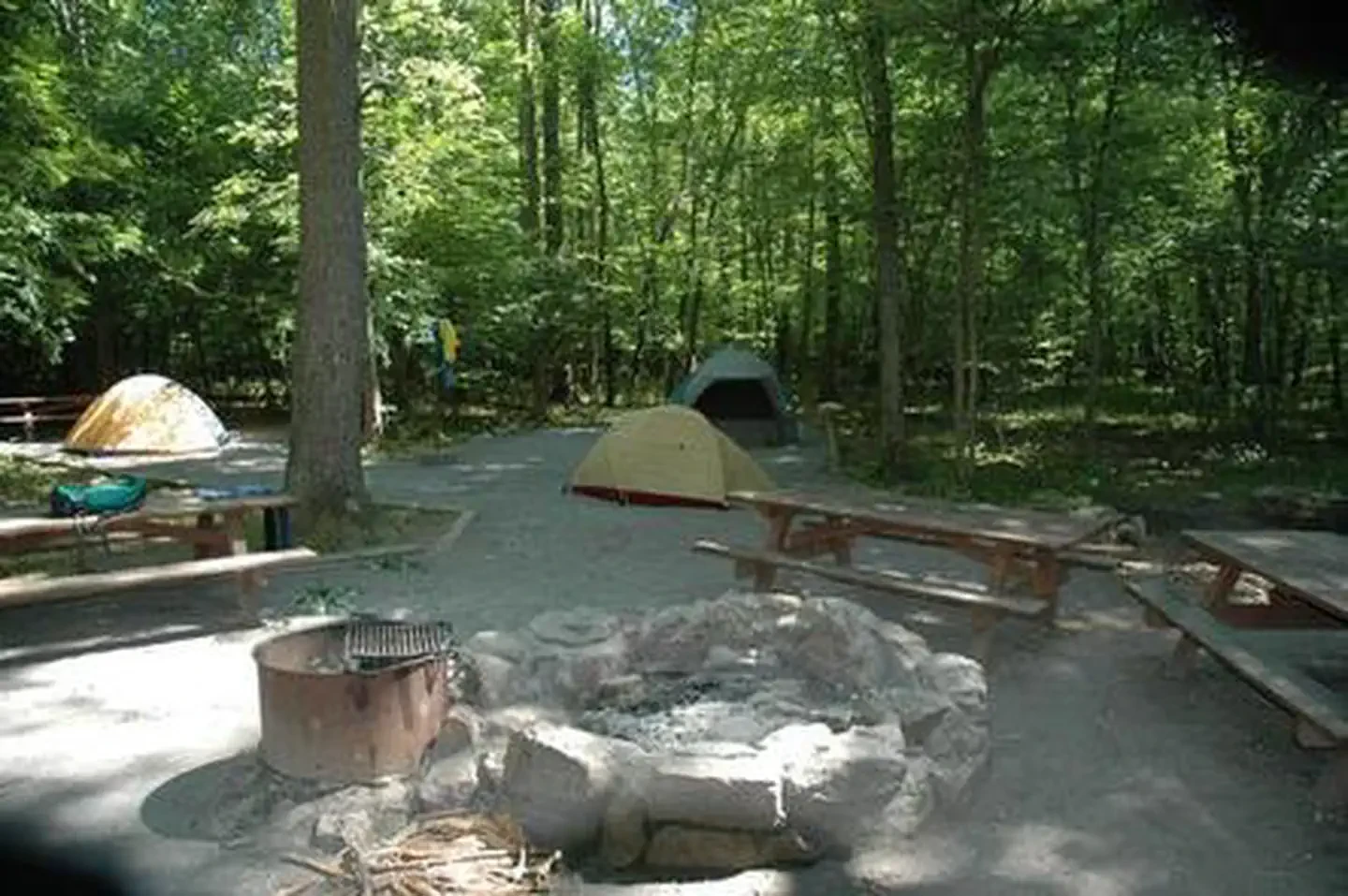 Elizabeth Furnace Group Camp
