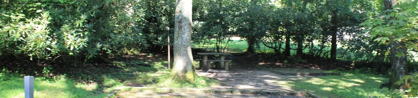 A24
