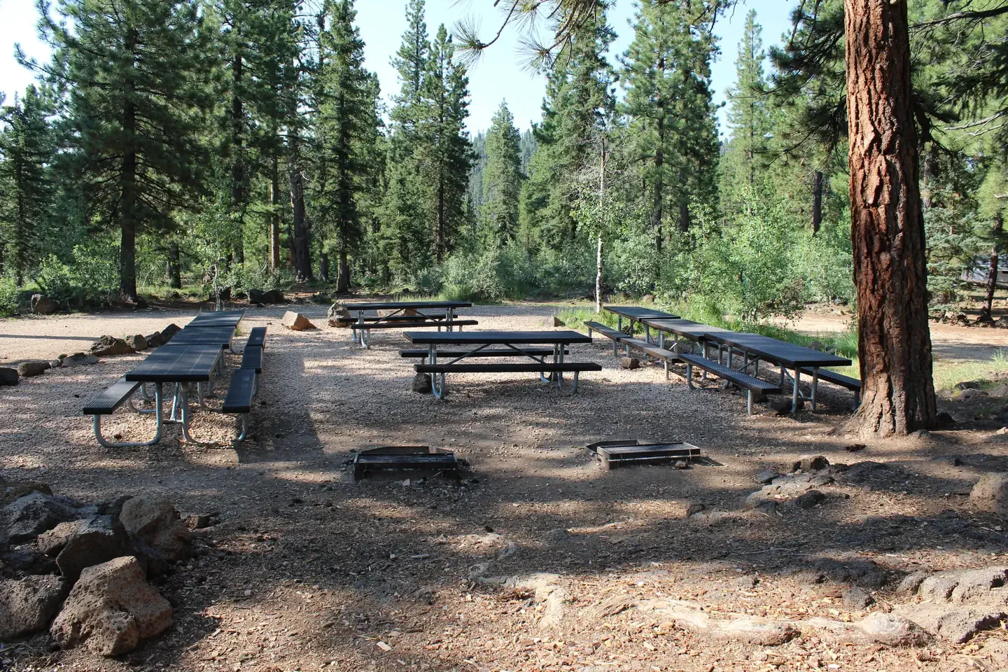 Duck Creek