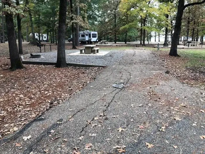 D25