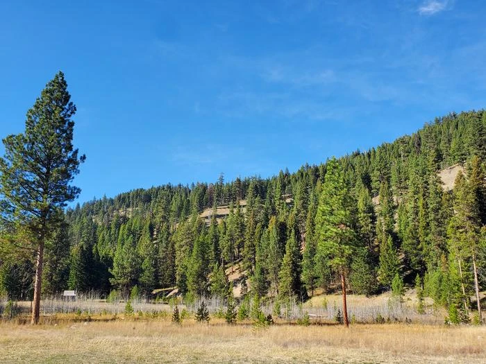 Fales Flat Campground
