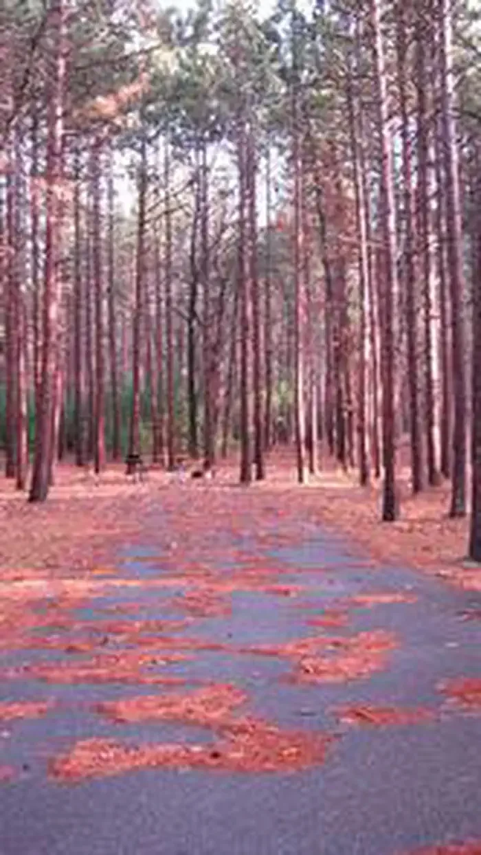 Monument Campground