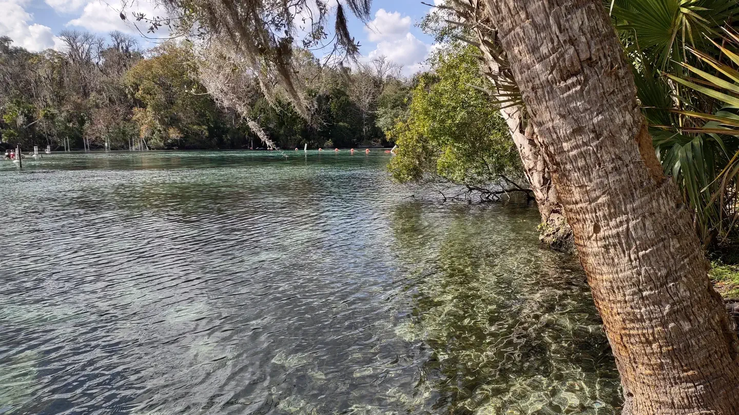 Silver Glen Springs Recreation Area Vehicle Reservations
