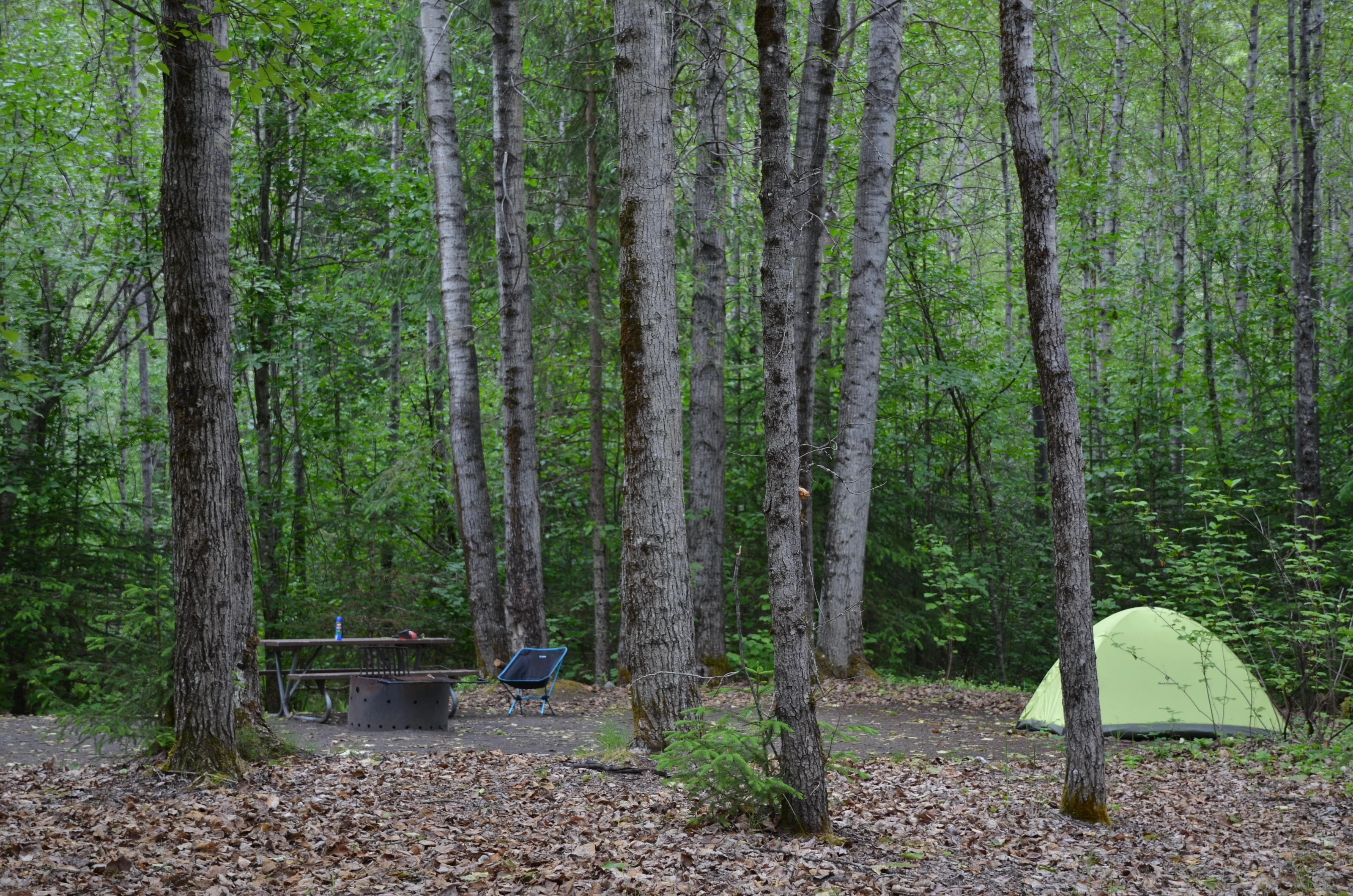 Dyea Campground