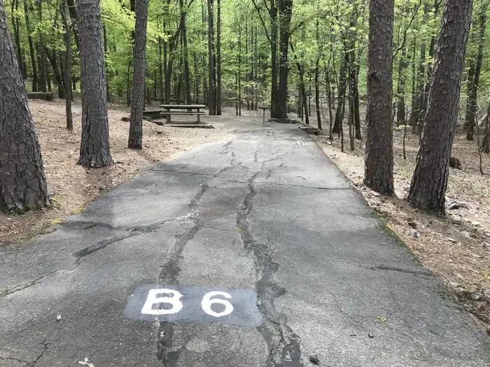 B06