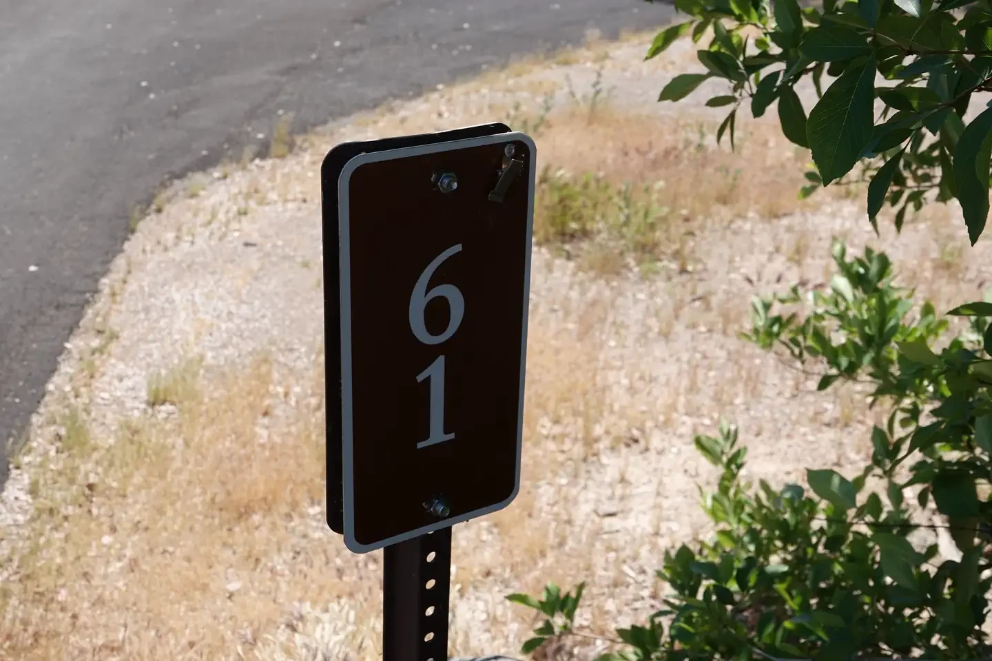 Site 61