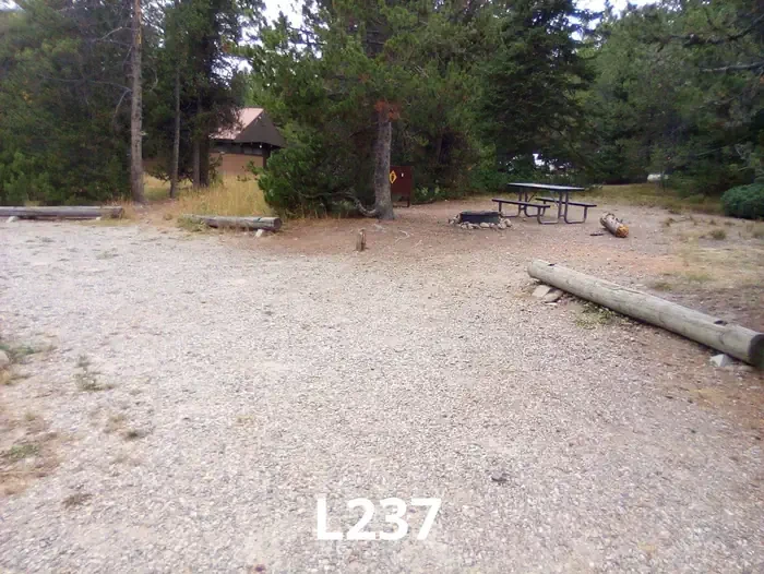 237