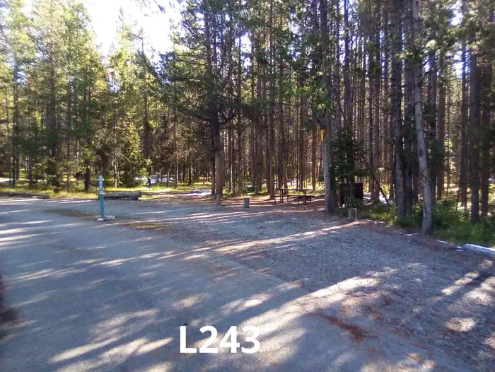 243
