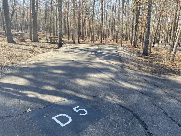 D05
