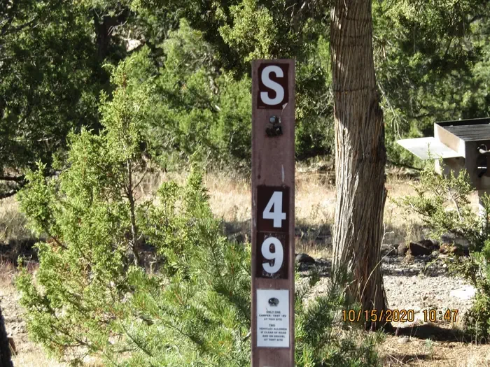 49