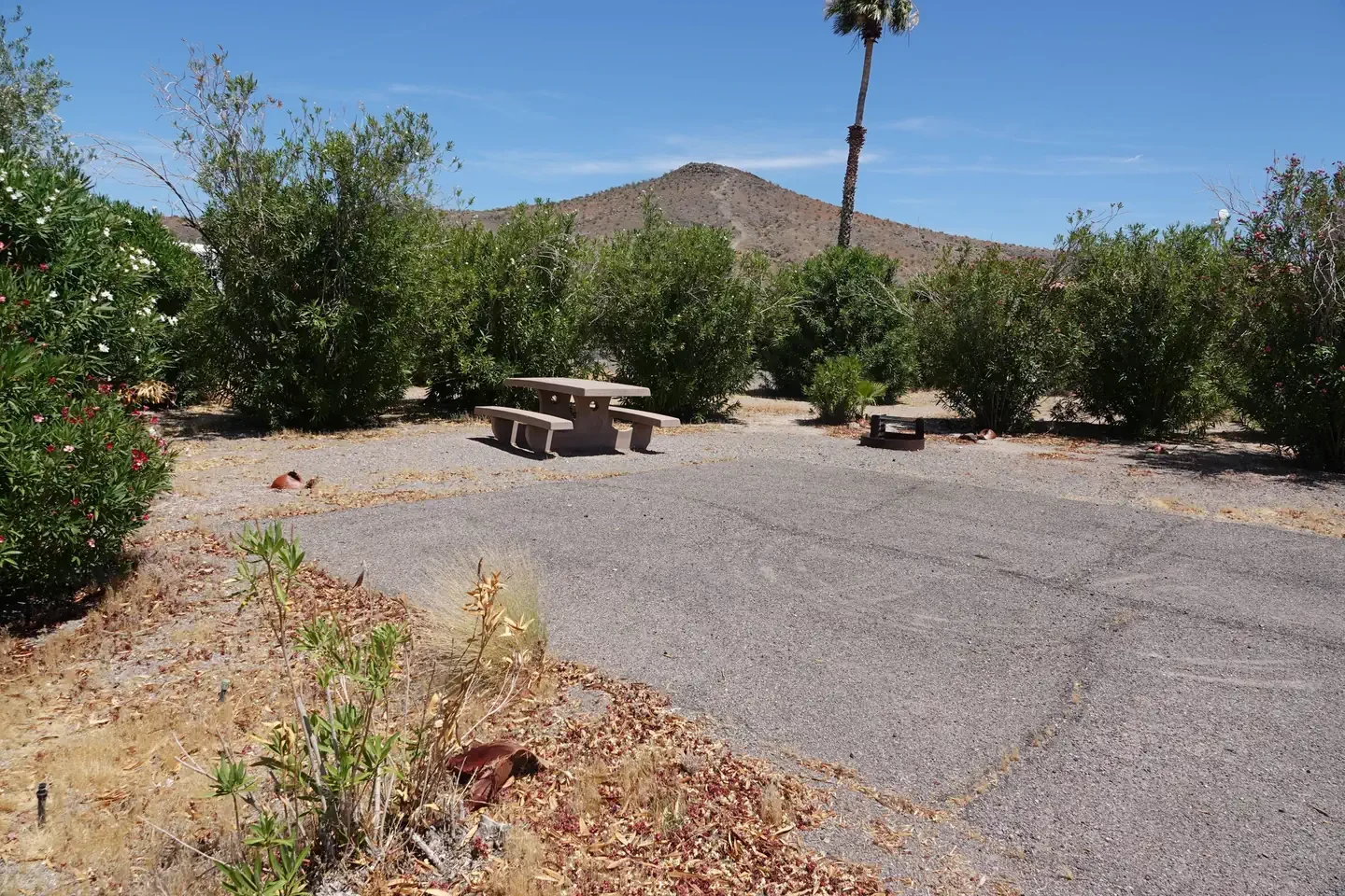 Site 8
