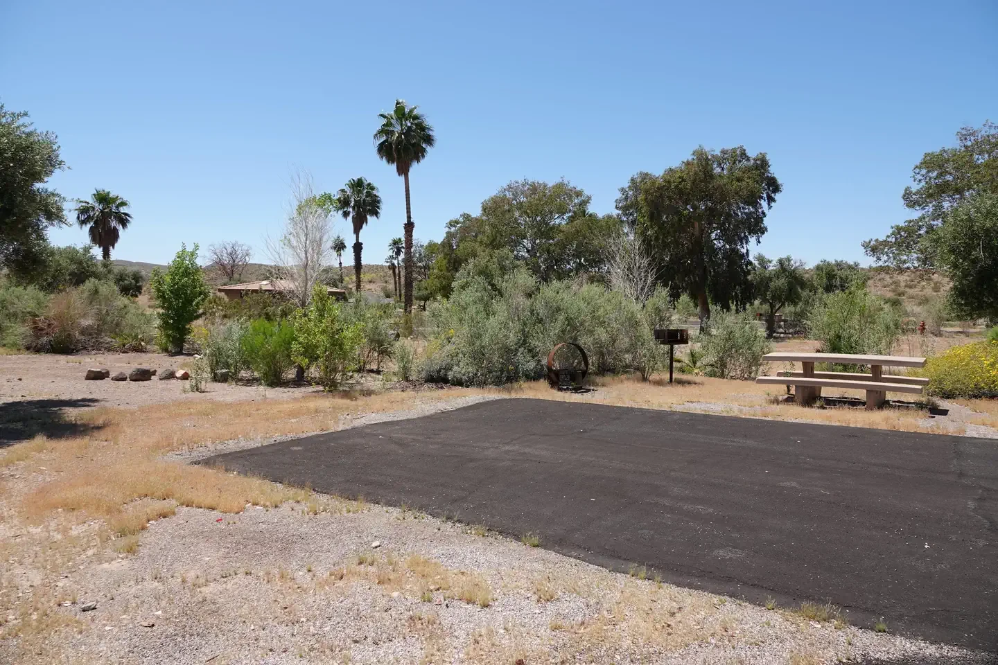 Site 65