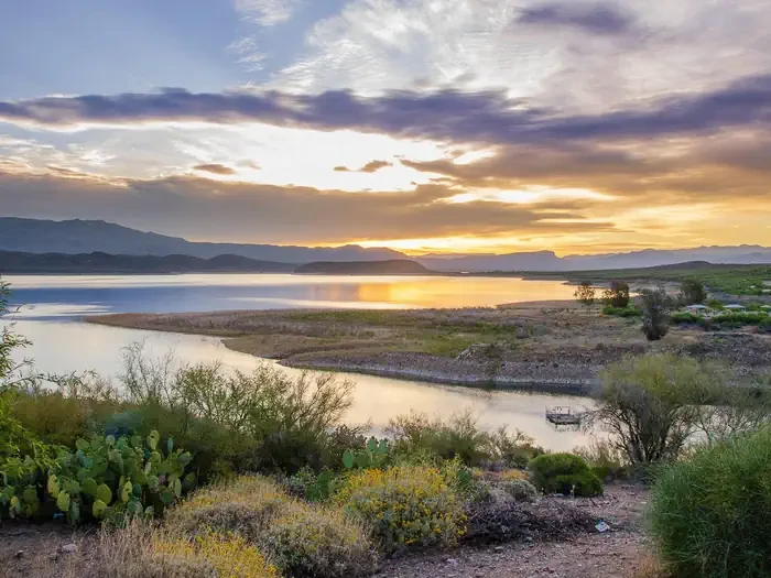 Cholla Campground