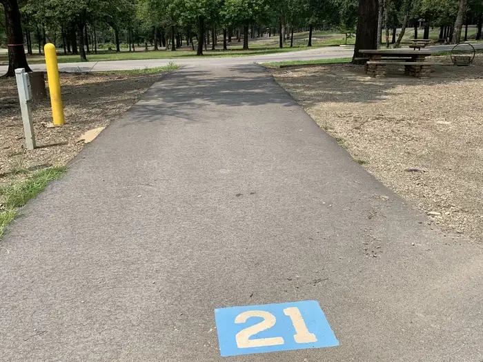 21