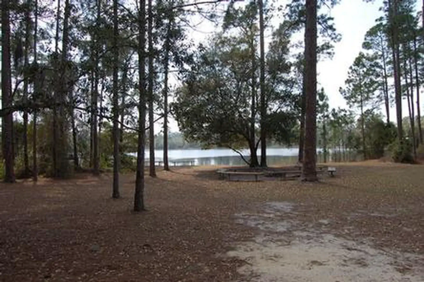 Lake Shore Group Camp