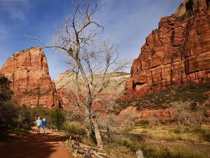 Angels Landing: Spring (Hikes on March 1 -- May 31)