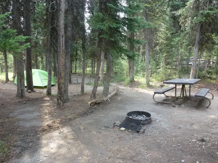 Lewis Lake site #40