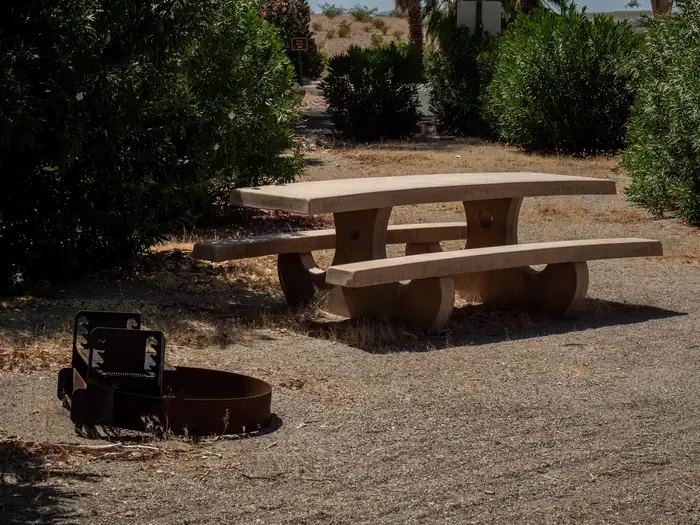 Site 42