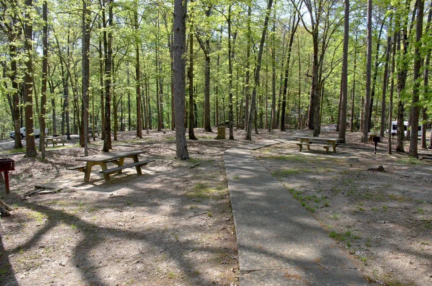 COOPER BRANCH No 2 DAY USE AREA (GA)